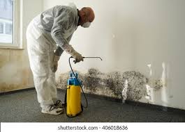 Best Water Damage & Mold Remediation in USA